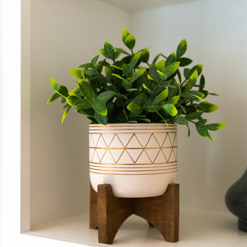 Mistana™ 4" Artificial Eucalyptus Plant in Planter & Reviews Wayfair